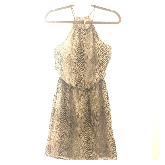 Rory Beca hi neck silk animal print dress!