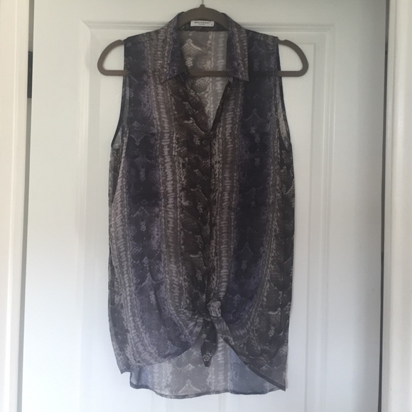 Equipment silk chiffon animal print shirt