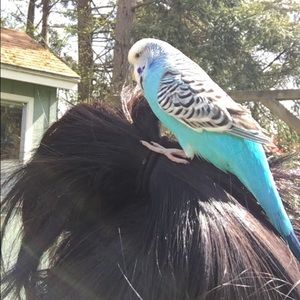 Meet your Posher, Megan