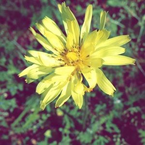 Meet your Posher, Avery