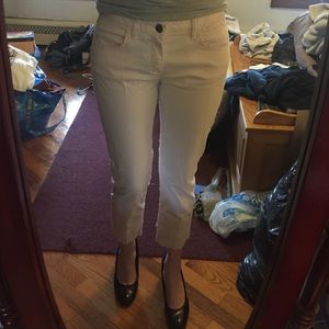 Elle Light Pink Cropped pants