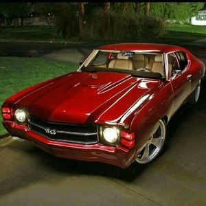 Meet your Posher, Grace