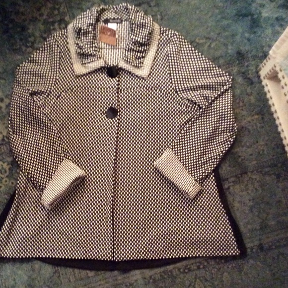 FABULOUS SWING JACKET! NWT!!!! - Picture 4 of 4