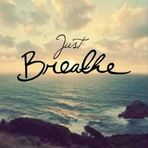 Meet your Posher, Terri