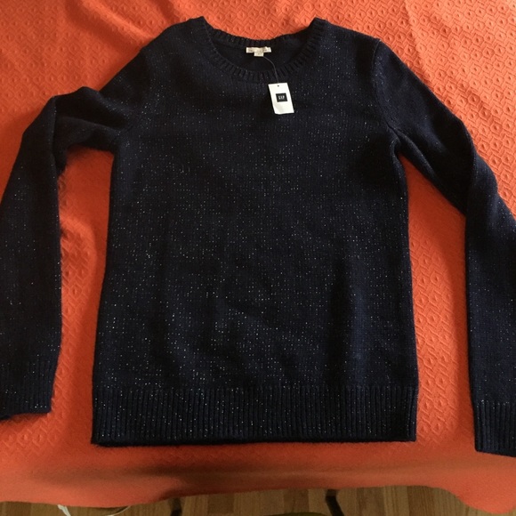 Sparkle/ navy gap sweater