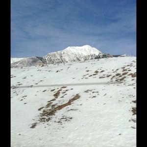 Meet your Posher, Summer