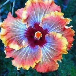 Meet your Posher, Teresa