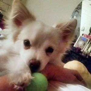 Meet your Posher, Tammy