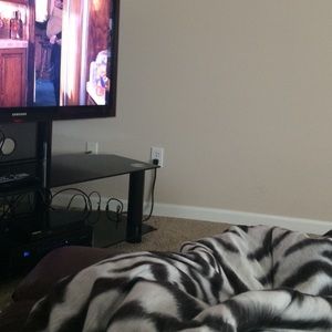 Meet your Posher, Riley