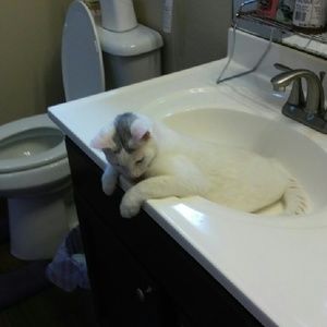 Meet your Posher, Aurora