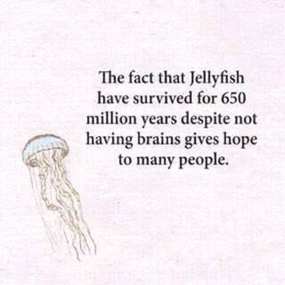 Meet your Posher, Harshada