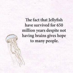 Meet your Posher, Harshada