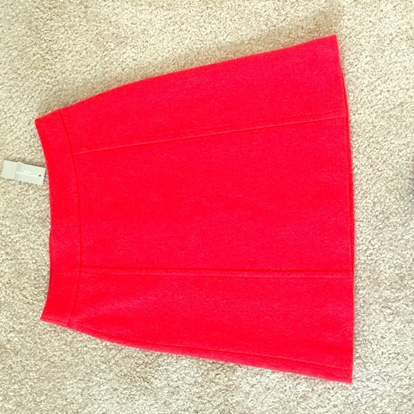 Ann Taylor skirt