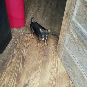 Meet your Posher, Jenny