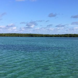 Meet your Posher, Kaitlyn