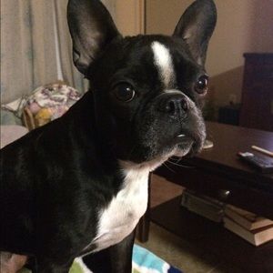 Meet your Posher, Melynda