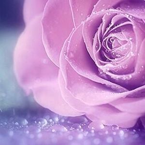 Meet your Posher, Kennedy