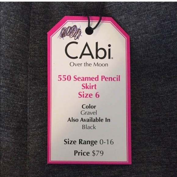 Chic Grey Cabi Skirt - Picture 4 of 4