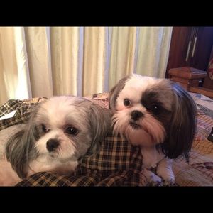 Meet your Posher, Kay