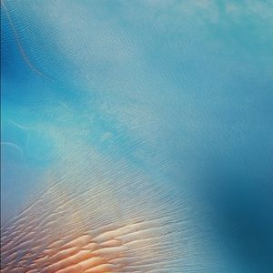 Meet your Posher, Willow