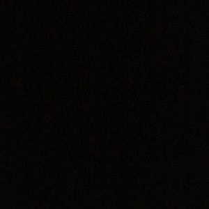 Meet your Posher, Gianna