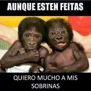 Meet your Posher, Lizbeth