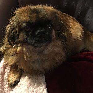 Meet your Posher, Oksana