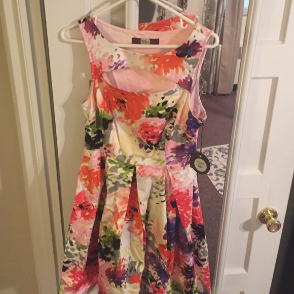 NWT Eva Franco Celia dress. Size 8 - Picture 2 of 4