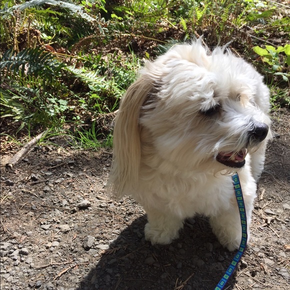 Meet your Posher, Katy