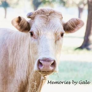 Meet your Posher, Gale