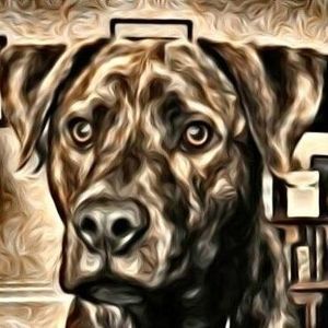 Meet your Posher, Savannah