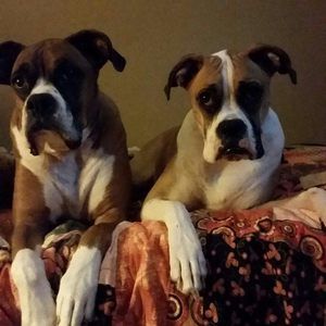 Meet your Posher, Gloria