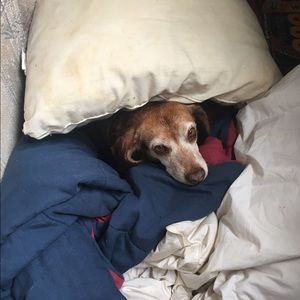 Meet your Posher, Becky