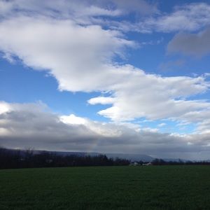 Meet your Posher, Caitlin