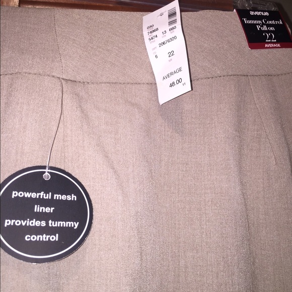Avenue Tummy Control Pull On Pants