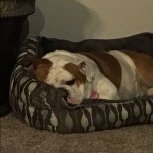 Meet your Posher, Annika