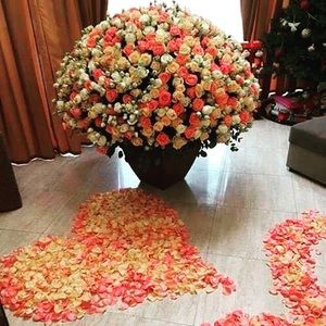 Meet your Posher, Isra