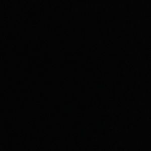 Meet your Posher, Nora