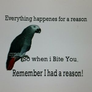 Meet your Posher, Lee ann