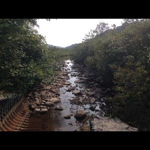 Meet your Posher, Iris