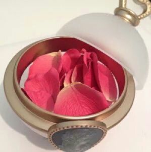 Meet your Posher, Camille