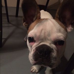 Meet your Posher, Kate