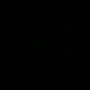 Meet your Posher, Eliza