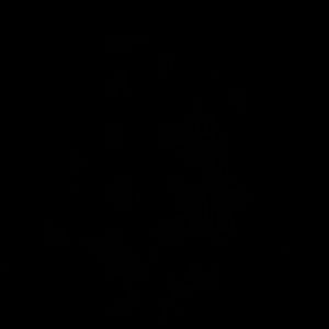 Meet your Posher, Monet