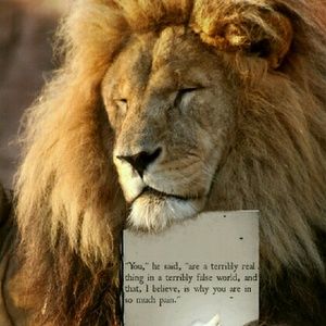 Meet your Posher, Gigi