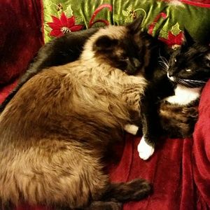 Meet your Posher, Becky