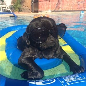 Bundle deal for @Roysmommy