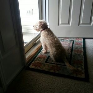 Meet your Posher, Donna