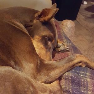 Meet your Posher, Tami