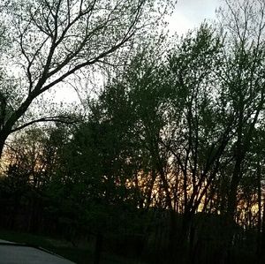 Meet your Posher, Cj